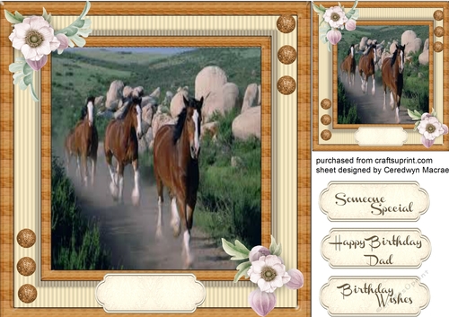 Beautiful Horses at the Gallop 