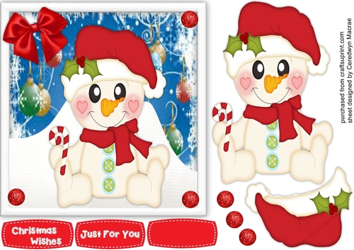 Cute Snowbaby