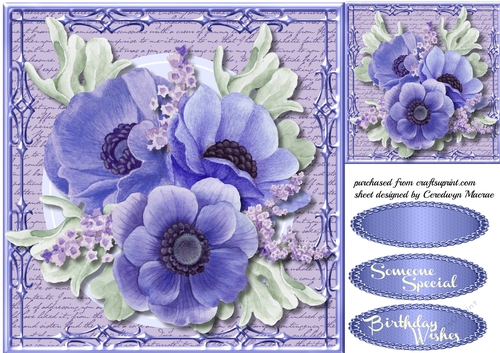 Beautiful Anemones on a Script Mat