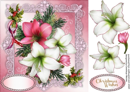 Beautiful Festive Amaryllis on Lace 