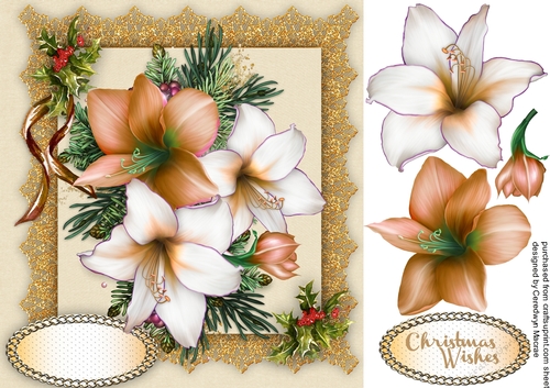 festive Amaryllis in Gold and Cream