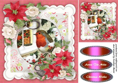 Beautifu Robin in a Scalloped frame 