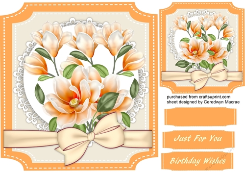 Beautiful Apriot Magnolias on a Cut Out Mat 