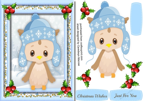 Cute Penguin in his blue hat 