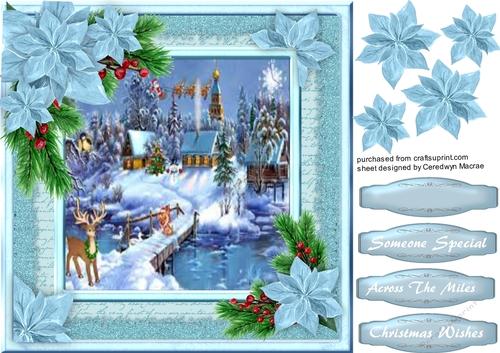 Blue Poinsettias and Scene