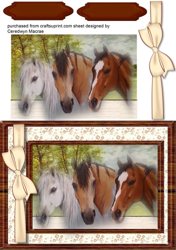 Beautiful Horses at the Fence 