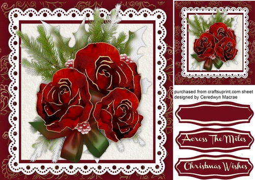 Beautiful Christmas roses on lace 