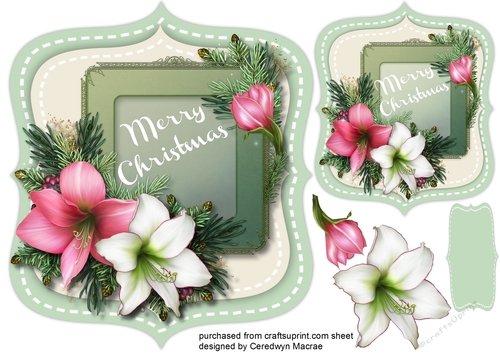 Beautiful Festive Amaryllis on a shaped mat 