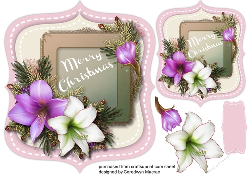 Beautiful Festive Amaryllis on a shaped mat 