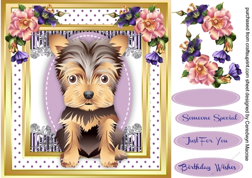 Adorable Yorkie in a Stitched frame 