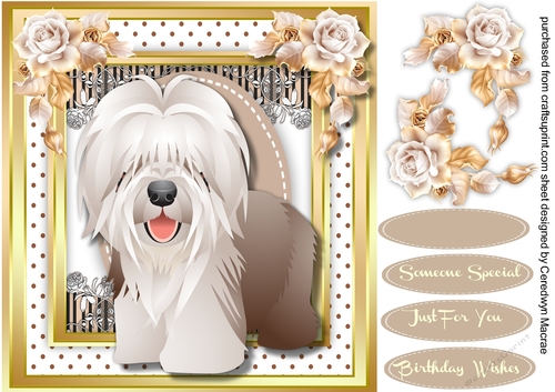 Adorable Sheepdog  in a Stitched frame 