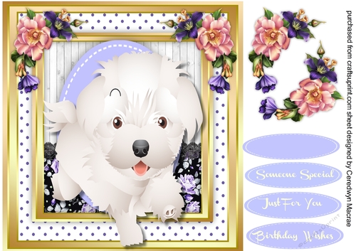 Adorable Fluffy Pup in a Stitched frame 