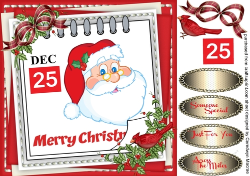 Merry Christmas From Santa 