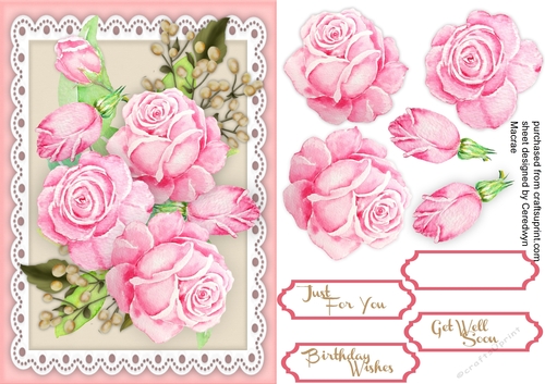 A5 Stunning Pink Roses on lace 