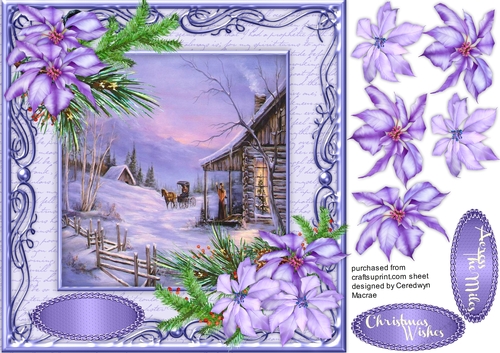 Stunning Lilac Poinsettias and Scene 