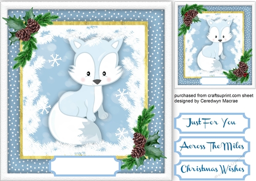 Beautiful Baby Artic Fox 