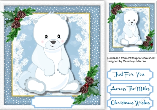 Beautiful Baby Artic Pola Bear 