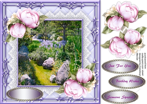 Beautiful Lilac Peony in lace frame 