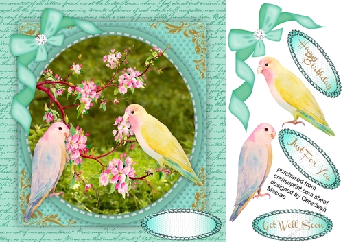 Beautiful Love Birds and Apple Blossom 