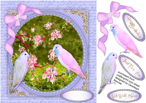Beautiful lilac Love Birds and Apple Blossom 