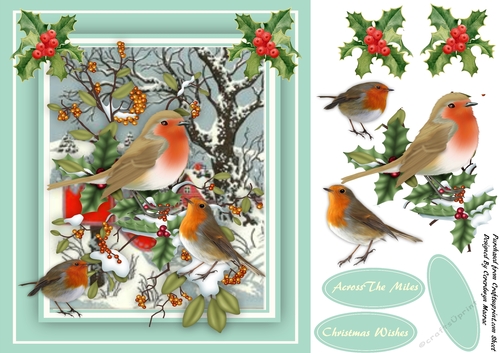 Beautiful Robins in the Holly 