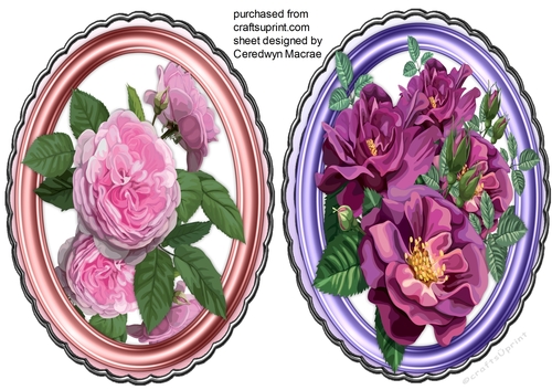 2 Beautiful Roses in Pearl frames 