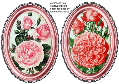 2 Beautiful Roses in a pink oval frames 