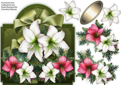 Over the Edge Festive flowes 