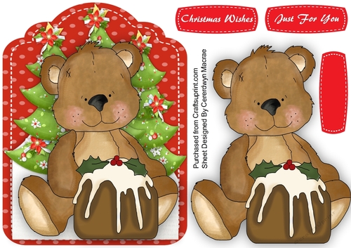 Teddy and his Christmas Puding