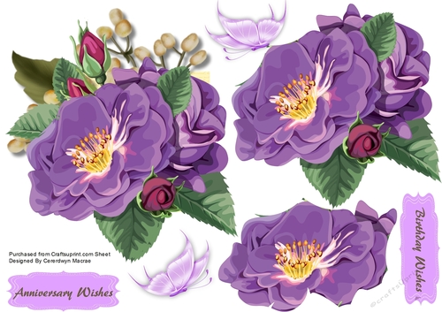 Beautiful Lilac roses and Babys Breath