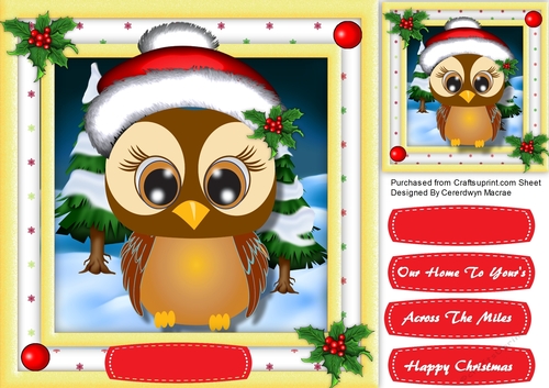 Owl in His Christmas Hat 