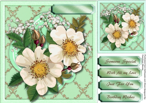 White Brier Roses on a Golden Mat