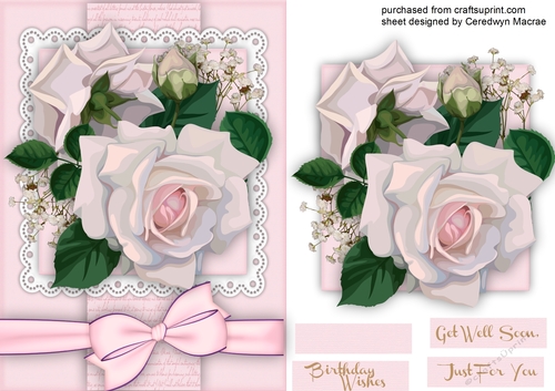 Stunning Soft Pink Roses on a Lace Mat 