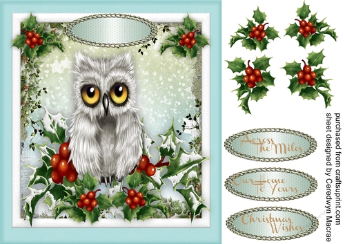 Owl in the Holly Tree