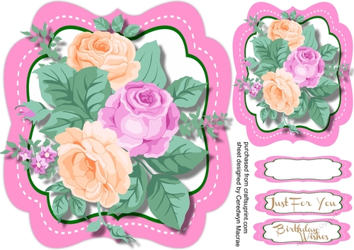 Beautiful Roses in a Hot Pink  Stitched bracket mat 2