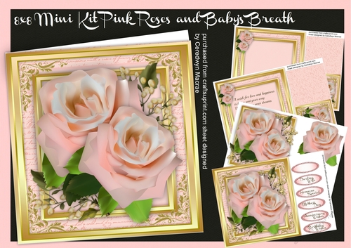 8x8 mini kit Pink  ,Roses and Babys Breath