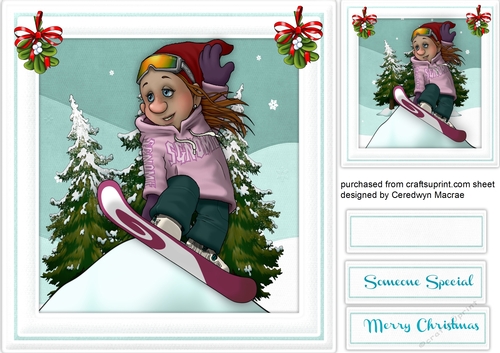 The Snowboarding Gnomne 