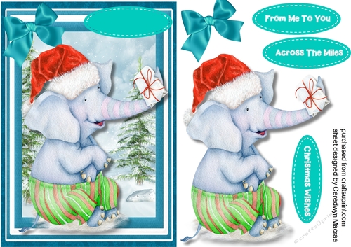 Ellies Christmas Parcle 