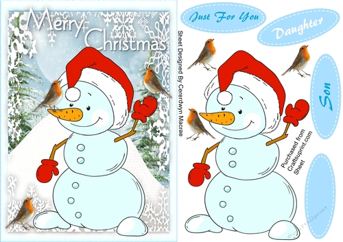The  Snowman and The Robins