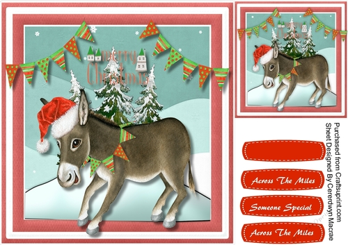 Donkey in the Snow 