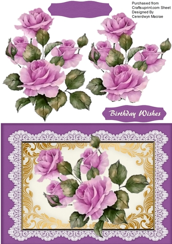 Beautiful Lilac roses on Vintage Lace 