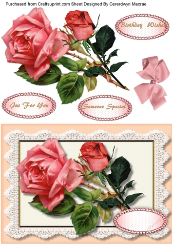 Beautiful Pink Roses on Vitage Lace 