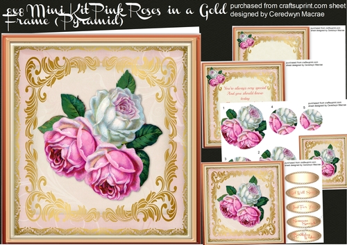 8x8 mini kit Pink roses in a gold frame 