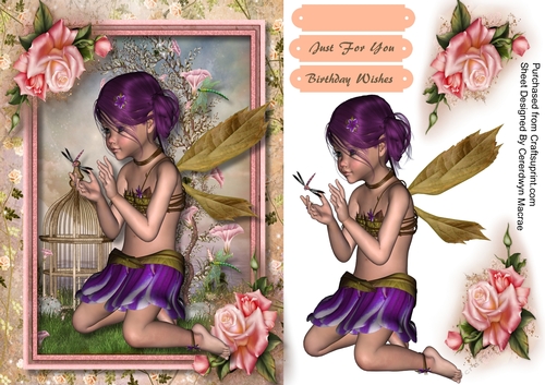 Beautiful Dragonfly Fairy