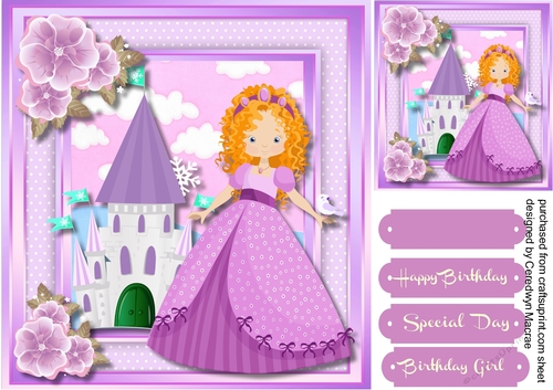 Beaut6iful Princess and Castle 