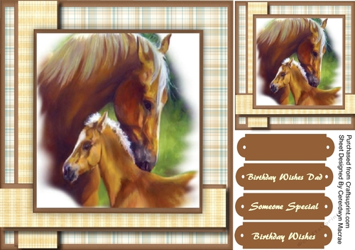 Stunning Mother and Foal,