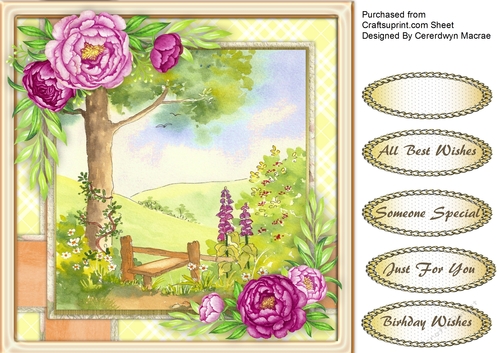 Country Style and Peonies 