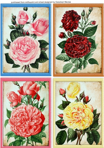 4 Beautiful Roses notelets 2,  