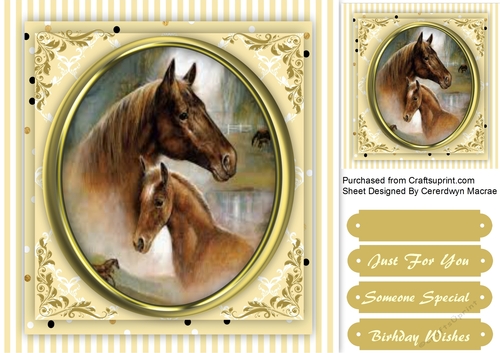 Beautiful Horses in a Gold Frame 