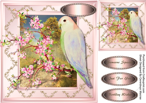 Beautiful Parrot and Blossom